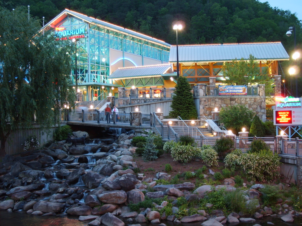 Westgate Smoky Mountain Resort & Water Park Timeshares