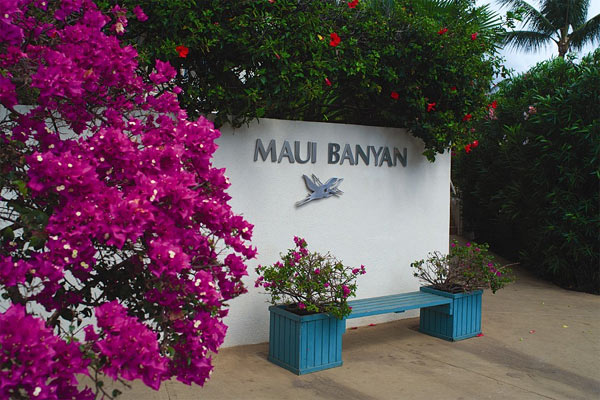 Maui Banyan Vacation Club Timeshares