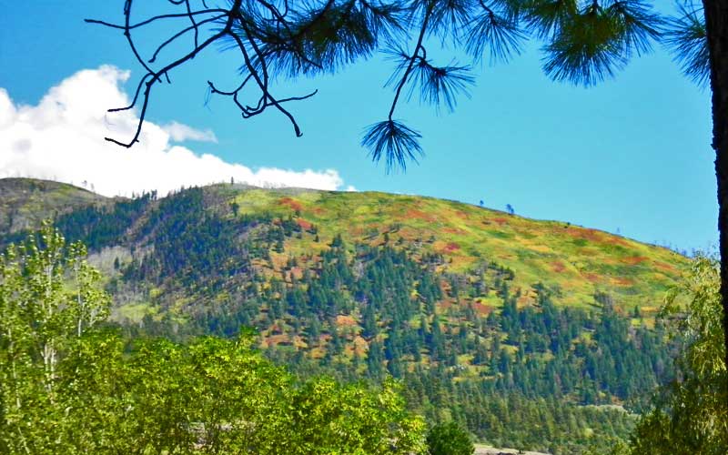 Durango Riverside Resort Timeshares