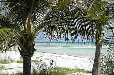 Bahama Beach