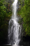Maui Water Falls