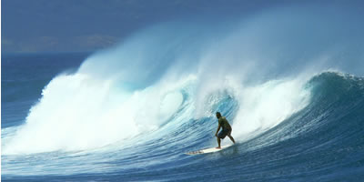 Maui Vacation Surfer