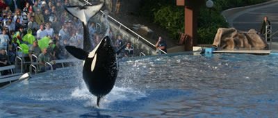 Sea World San Diego